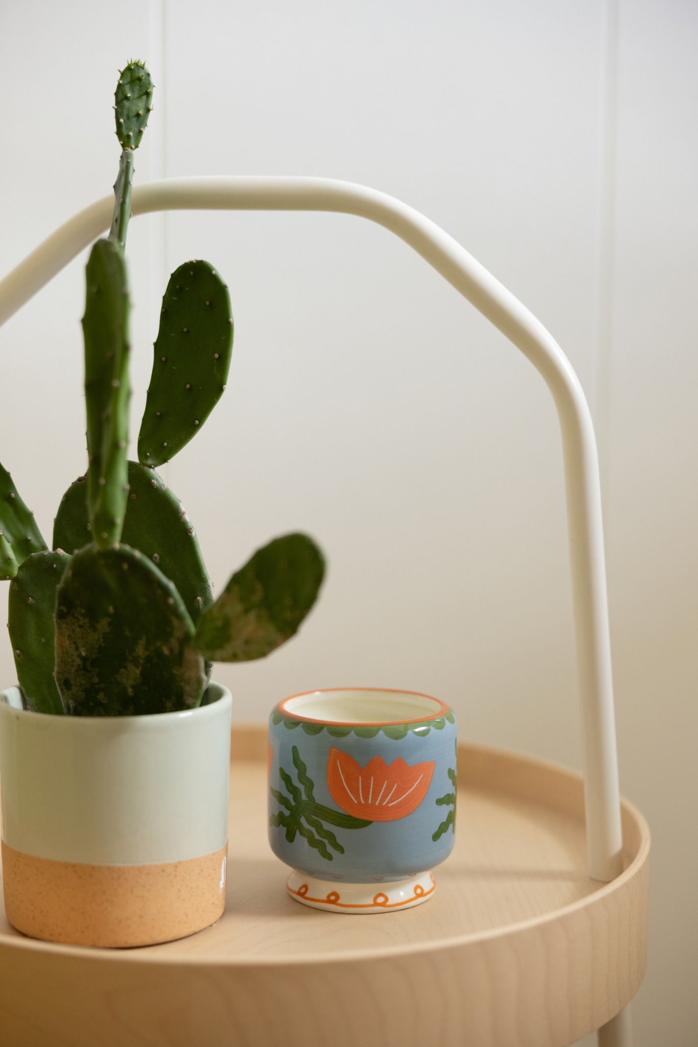 Cactus Flower Ceramic Boxed Candle